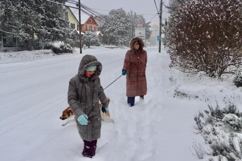 Darby Fleming, foreground, Mary Fleming and their dog Cindy were out for a walk on Kings Highway in Lewes. They said Cindy was very excited for a snow day.
BILL SHULL PHOTO